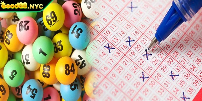 Trải nghiệm Xổ số và lô đề