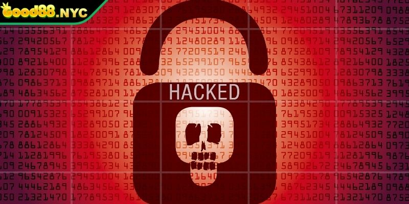 Phản hồi từ người chơi